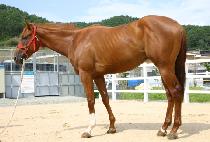 ���������� (DELAVERNE SANDY) ����