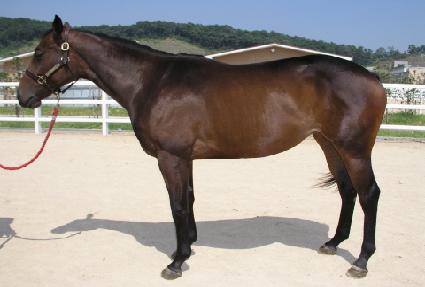 ��äȭ ����