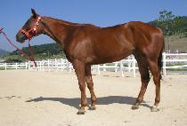 ���ܷ���Ʈ (ONEATLAST) ����