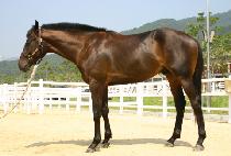 �˷�� (GEOMNYONGSO) ����