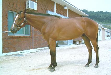 ��� ����