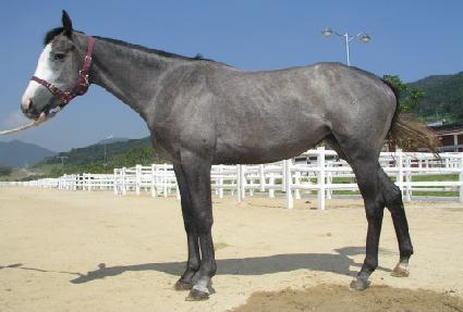 ����;�귰 ����