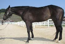 �ÿ������� (TAKNTUSKOOL) ����