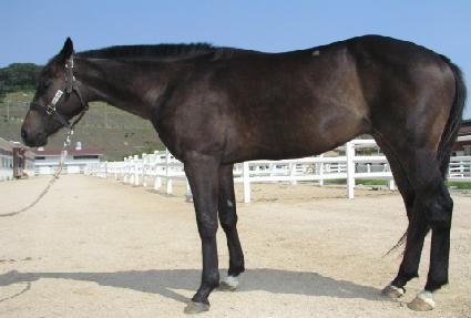 �ÿ������� ����