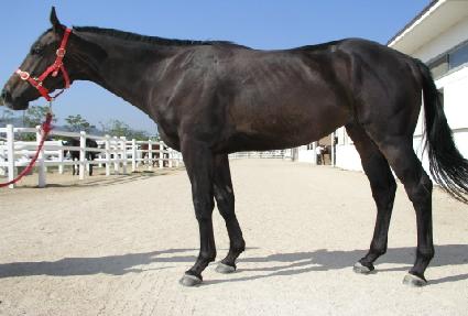 ��������� ����