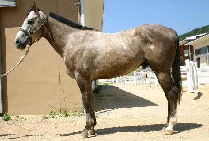 ���������� ����