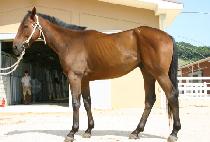 �ٴ��� (DADAEPO) ����