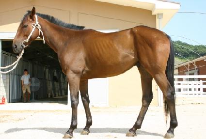 �ٴ��� ����