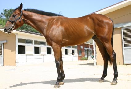 �����Ҹ� ����