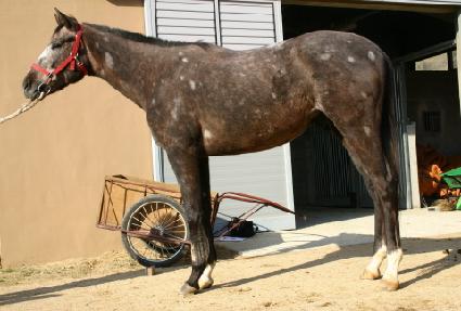 �ʽĴ�� ����