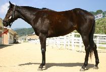 ������Ű (JOLIEYUKI) ����