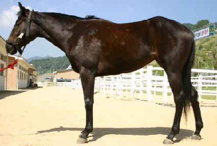 ������Ű ����