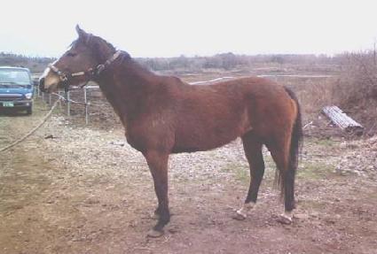 �ٴٸ� ����