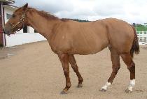 ����ô� (JIBANG SIDAE) ����