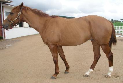 ����ô� ����