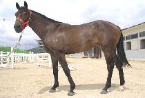 �����ڶ� (GONGWON JARANG) ����