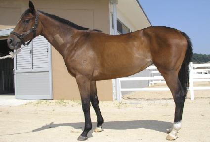 ī�� ����