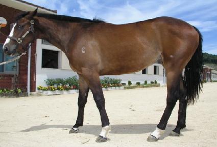 �Ʊ۶��̾� ����