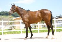 �𷡿��� (MORAE YOJEONG) ����