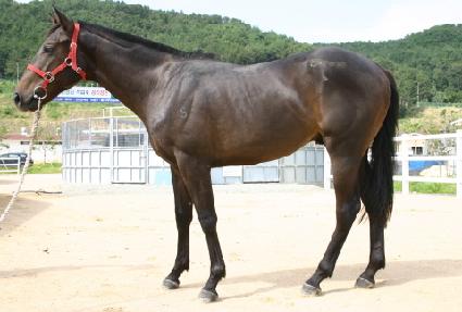 ���������� ����