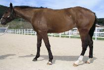 ���̷� (HIGH RUN) ����