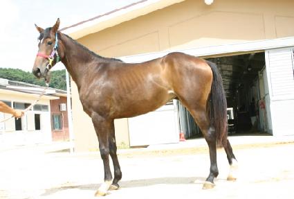 ������ ����