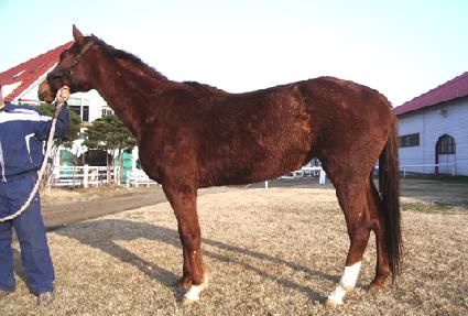 ������ǳ ����