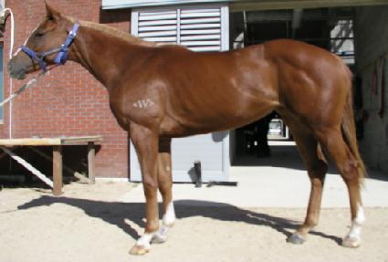 �������� ����