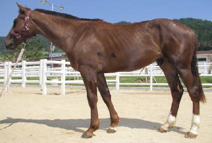 ������ ����