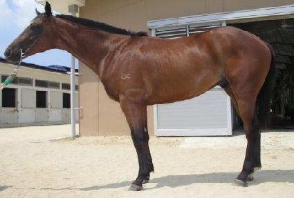 �������� ����