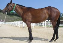 ź���� (TANSEONGNYEOK) ����