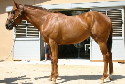 �ֱ����� ����