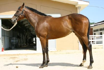 �������� ����