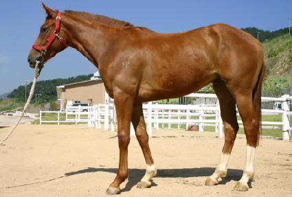 ����� ����