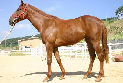 ������ ����