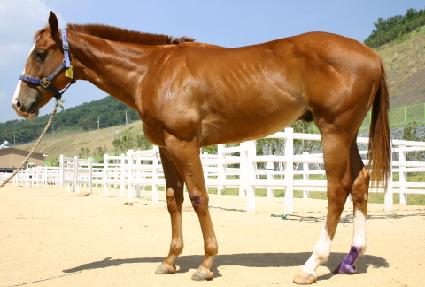 ������ ����