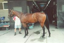 ���� (HYEONBIN) ����