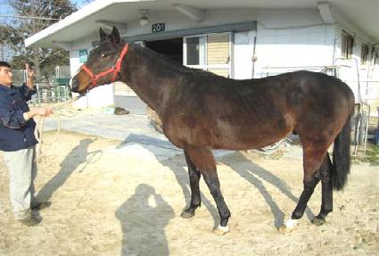 �������� ����