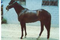 �����ֳ��� (GOKTO CHEONAMDAN) ����