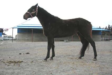 ���̿������̺� ����