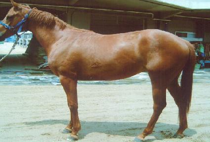 �����Ʈ������� ����