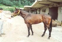 ���ζ������� (VEINTE DE MAYO) ����