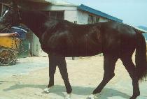 �վ��Ը�Ʈ����� (ITSAFAMLYTRADITION) ����