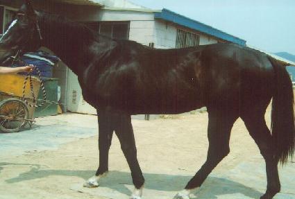 �վ��Ը�Ʈ����� ����