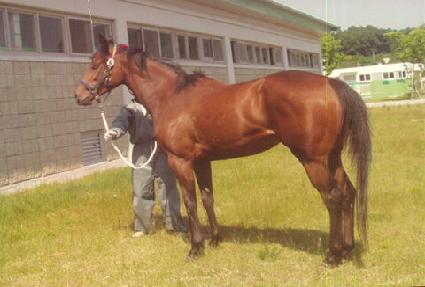 ����񽺸��� ����