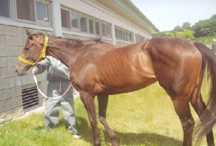 �췹�󽺰��� ����