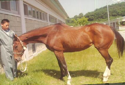 ���ٹ̴� ����