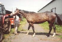 �����̵��̿¸��� (FRIDAY ON MY MIND) ����