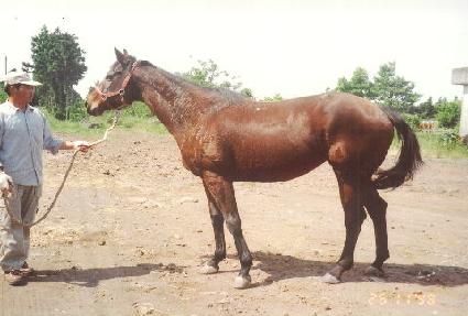 �̽����� ����