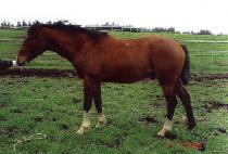 �ֹ��� (JUBEOPGYE) ����